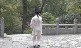 陈氏太极拳24式教学视频,入门必看，掌握经典套路